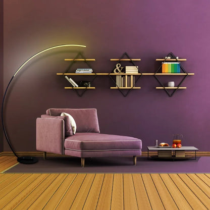 Minimalist Modern Floor Lamp