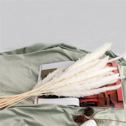 30pcs Dried Pampas Artificial Flowers