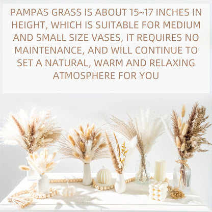 Dried Pampas Grass Decor, 120 PCS